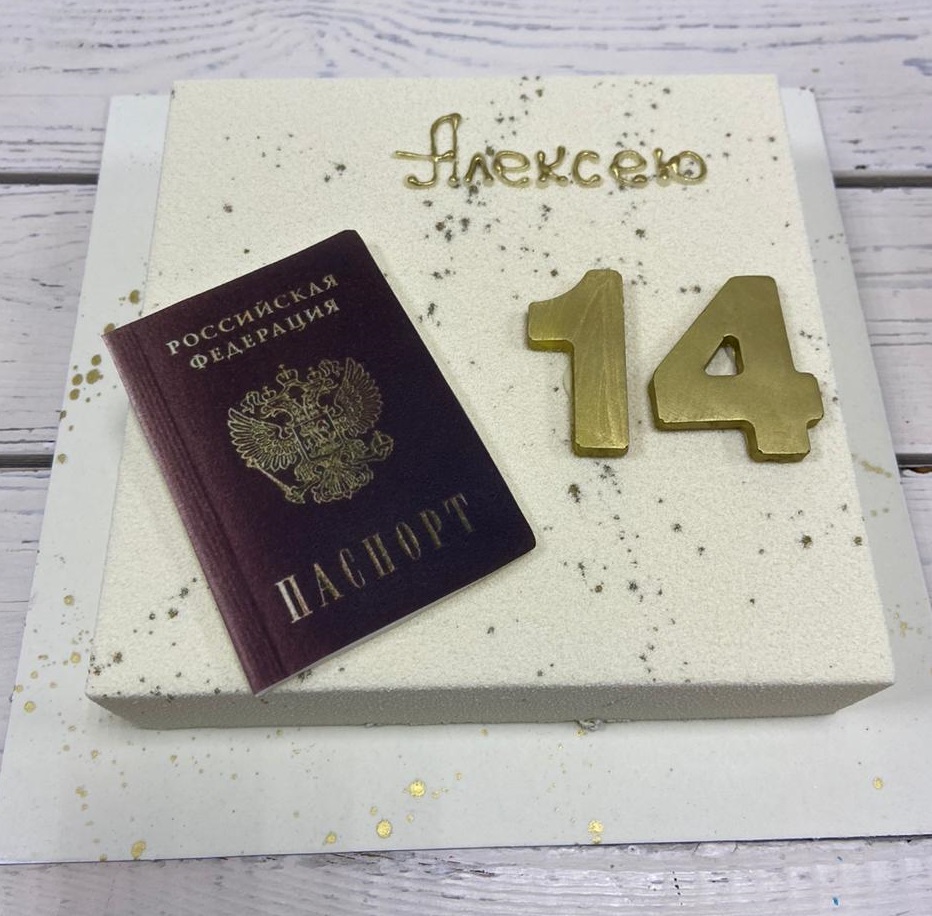 торт, паспорт, квадратный, 14 лет, мальчику, девочке
